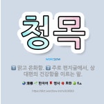 🌟청목: 맑고 온화함., 주로 편지글에서, 상대편의 건강함을 이르는 말. - 표준국어대사전