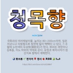 🌟청목향: 국화과의 여러해살이풀. 높이는 80~200cm이며, 잎은 어긋나고 타원형으로 뒷면에 털이 빽빽이... - 표준국어대사전