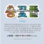🌟층꽃풀: 마편초과의 여러해살이풀. 높이는 30~60cm이며, 잎은 마주나고 달걀 모양으로 톱니가 있다. ... - 표준국어대사전