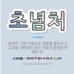 🌟초념처: 중생이 기쁜 마음으로 설법을 듣는다고 그것을 기뻐함이 없이 마음이 평정한 여래의 덕. - 표준국어대사전