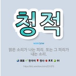 🌟청적: 맑은 소리가 나는 피리. 또는 그 피리가 내는 소리. - 표준국어대사전