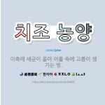 🌟치조 농양: 이촉에 세균이 옮아 이틀 속에 고름이 생기는 병. - 표준국어대사전