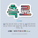🌟측로: 큰길 옆으로 따로 난 작은 길., 본래 하여야 할 일 이외의 다른 일을 하는 경우를 비유적으로 이... - 표준국어대사전