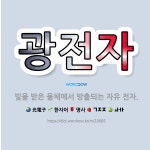 🌟광전자: 빛을 받은 물체에서 방출되는 자유 전자. - 표준국어대사전