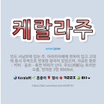 🌟케랄라주: 인도 서남부에 있는 주. 아라비아해에 면하여 있고 고대에 동서 무역으로 번영한 왕국이 있었으며... - 표준국어대사전