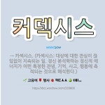 🌟커덱시스: → 카섹시스. (카섹시스: 대상에 대한 관심이 끊임없이 지속되는 일. 정신 분석학파는 정신적 ... - 표준국어대사전