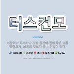 🌟터스컨모: 이탈리아 토스카나 지방 원산의 질이 좋은 여름 밀짚모자. 보통의 것보다 좀 누런빛이 짙다. - 표준국어대사전