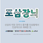 🌟포삼장뇌: 산삼의 어린 것이나 종자를 인삼밭에서 인공적으로 재배한 것. - 표준국어대사전