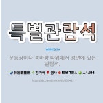 🌟특별관람석: 운동장이나 경마장 따위에서 정면에 있는 관람석. - 표준국어대사전