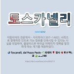 🌟토스카넬리: 이탈리아의 천문학자ㆍ지리학자(1397~1482). 서쪽으로 항해하면 인도로 가는 항로를 단축... - 표준국어대사전