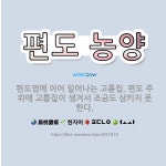 🌟편도 농양: 편도염에 이어 일어나는 고름집. 편도 주위에 고름집이 생겨서 조금도 삼키지 못한다. - 표준국어대사전