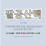 🌟팔공산맥: 소백산맥에 속한 산맥. 팔공산을 중심으로 동서로 뻗어 있다. - 표준국어대사전