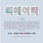 🌟티에이티: 무의식적 욕구, 동기, 성격 따위를 알아보기 위한 투사법 검사. 피험자에게 모호한 그림을 보여... - 표준국어대사전