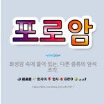 🌟포로암: 화성암 속에 들어 있는, 다른 종류의 암석 조각. - 표준국어대사전