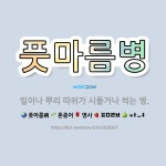 🌟풋마름병: 잎이나 뿌리 따위가 시들거나 썩는 병. - 표준국어대사전