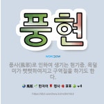 🌟풍현: 풍사(風邪)로 인하여 생기는 현기증. 목덜미가 뻣뻣하여지고 구역질을 하기도 한다. - 표준국어대사전