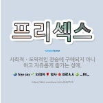 🌟프리섹스: 사회적ㆍ도덕적인 관습에 구애되지 아니하고 자유롭게 즐기는 성애. - 표준국어대사전