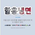 🌟함흥냉면: 국물 없이 생선회를 곁들여 맵게 비벼 먹는 함흥식 냉면. - 표준국어대사전