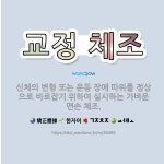 🌟교정 체조: 신체의 변형 또는 운동 장애 따위를 정상으로 바로잡기 위하여 실시하는 가벼운 맨손 체조. - 표준국어대사전