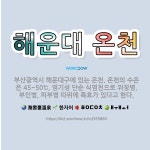 🌟해운대 온천: 부산광역시 해운대구에 있는 온천. 온천의 수온은 45~50℃, 염기성 단순 식염천으로 위장... - 표준국어대사전