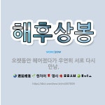 🌟해후상봉: 오랫동안 헤어졌다가 우연히 서로 다시 만남. - 표준국어대사전