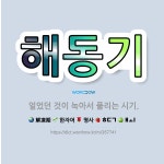 🌟해동기: 얼었던 것이 녹아서 풀리는 시기. - 표준국어대사전