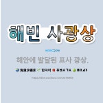 🌟해빈 사광상: 해안에 발달된 표사 광상. - 표준국어대사전