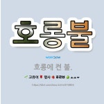🌟호롱불: 호롱에 켠 불. - 표준국어대사전