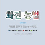 🌟화전 농법: 화전을 일구어 짓는 농사 방법. - 표준국어대사전