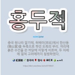 🌟홍두적: 중국 원나라 말기에, 허베이(河北)에서 한산동(韓山童)을 두목으로 하던 도둑의 무리. 머리에 붉... - 표준국어대사전