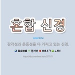 🌟혼합 신경: 감각성과 운동성을 다 가지고 있는 신경. - 표준국어대사전