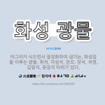 🌟화성 광물: 마그마가 식으면서 결정화하여 생기는, 화성암을 이루는 광물. 휘석, 각섬석, 운모, 장석, ... - 표준국어대사전