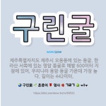 🌟구린굴: 제주특별자치도 제주시 오등동에 있는 동굴. 한라산 서쪽에 있는 영암 동굴로 해발 600미터 지점... - 표준국어대사전