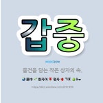 🌟갑중: 물건을 담는 작은 상자의 속. - 표준국어대사전
