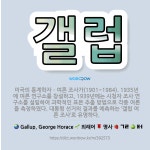 🌟갤럽: 미국의 통계학자ㆍ여론 조사가(1901~1984). 1935년에 여론 연구소를 창설하고, 1939년... - 표준국어대사전