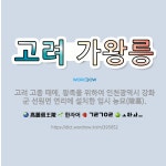 🌟고려 가왕릉: 고려 고종 때에, 왕족을 위하여 인천광역시 강화군 선원면 연리에 설치한 임시 능묘(陵墓). - 표준국어대사전