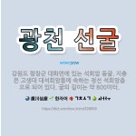 🌟광천 선굴: 강원도 평창군 대화면에 있는 석회암 동굴. 지층은 고생대 대석회암통에 속하는 정선 석회암층으... - 표준국어대사전