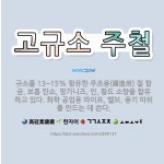 🌟고규소 주철: 규소를 13~15% 함유한 주조용(鑄造用) 철 합금. 보통 탄소, 망가니즈, 인, 황도 소... - 표준국어대사전