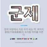 🌟군제: 한약 처방에서 가장 주가 되는 약. 육미지황탕(六味地黃湯)의 숙지황 따위를 이른다. - 표준국어대사전