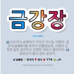🌟금강장: 수도자나 순례자가 가지고 다니는 지팡이. 금강저(金剛杵)를 본떠서 만들었는데, 사람의 신장과 같... - 표준국어대사전