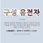 🌟구성 유전자: 환경의 변화에 관계없이 세포의 기본적 구조와 기능을 유지하는 데 필수 불가결한 단백질의 합... - 표준국어대사전