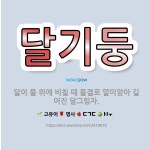 🌟달기둥: 달이 물 위에 비칠 때 물결로 말미암아 길어진 달그림자. - 표준국어대사전