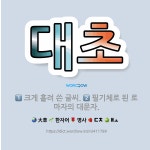 🌟대초: 필기체로 된 로마자의 대문자., 크게 흘려 쓴 글씨. - 표준국어대사전