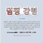 🌟덤핑 강령: 상품의 수출 가격이 수출하는 나라의 국내 가격보다 싸거나, 싼 물건으로 말미암아 수입국 산업... - 표준국어대사전