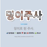 🌟덩이주사: 덩이로 된 주사. - 표준국어대사전