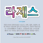 🌟라제스: 페르시아의 의학자(865~923?). 의학, 철학, 천문학, 화학 따위의 다방면에 걸쳐 연구하였... - 표준국어대사전