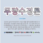 🌟무량수경론: 인도의 승려 바수반두가 지은 염불 행자(念佛行者)의 수행 방법인 오념문의 행(行)을 논한 책... - 표준국어대사전