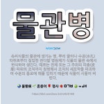 🌟물관병: 속씨식물의 물관에 생기는 병. 뿌리 끝이나 수공(水孔) 따위로부터 침입한 관다발 병원체가 식물의... - 표준국어대사전
