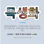 🌟목생화: 음양오행설에서, 나무에서 불이 생긴다는 뜻으로 이르는 말. 나무와 불이 서로 어울린다는 뜻이다. - 표준국어대사전