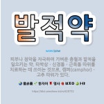 🌟발적약: 피부나 점막을 자극하여 가벼운 충혈과 발적을 일으키는 약. 타박상ㆍ신경통ㆍ근육통 따위를 치료하는... - 표준국어대사전